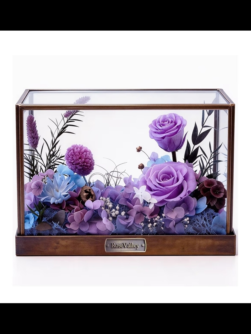 Rose Valley Purple & Blue Preserved Flower Glass Display NEW